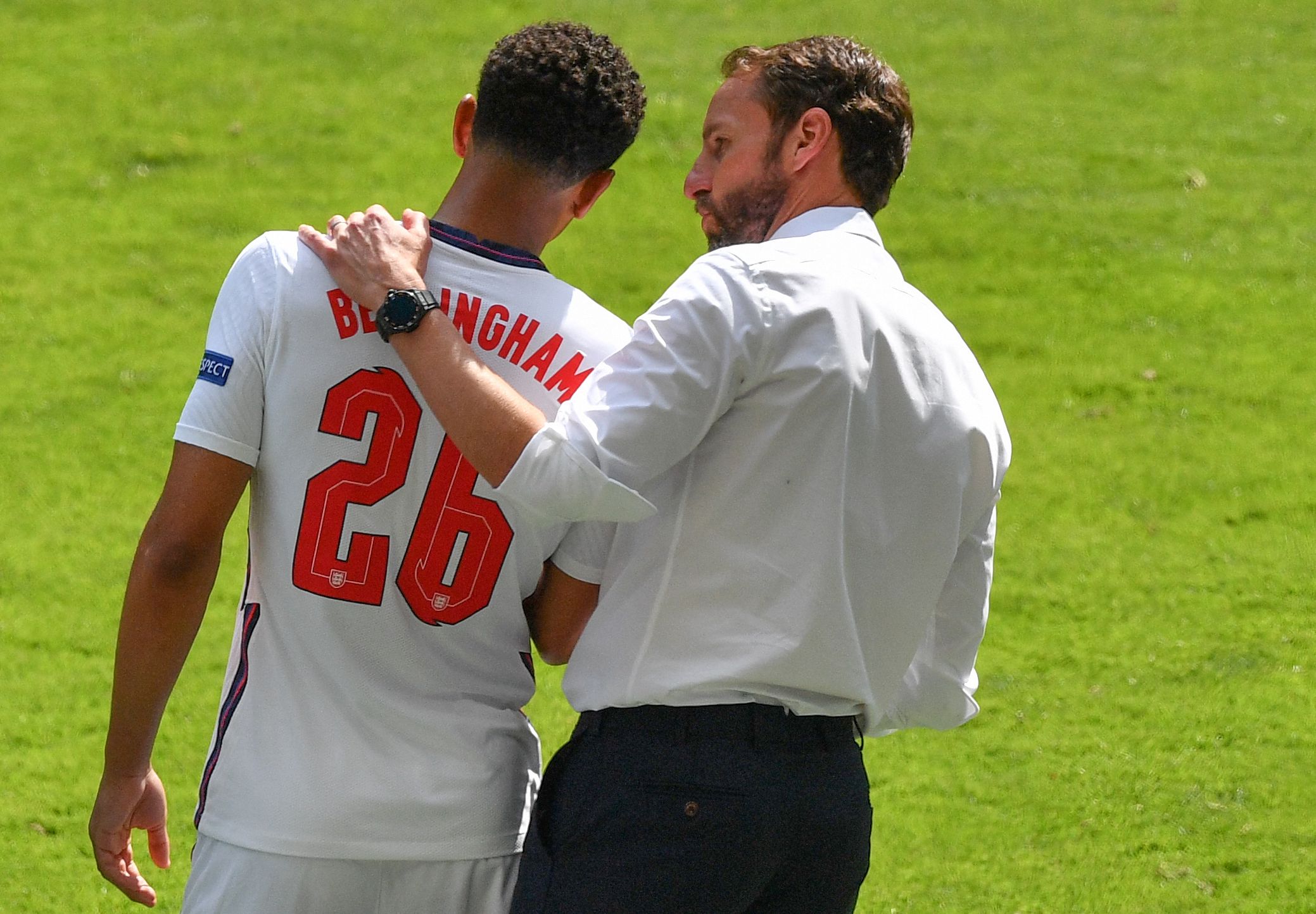 类长臂内线 类长臂内线